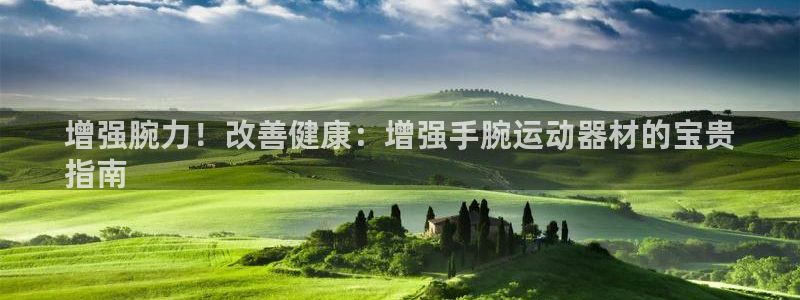意昂3娱乐平台：增强腕力！改善健康：增强手腕运动器材