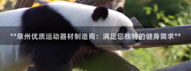 意昂体育3官方客服电话：**泉州优质运动器材制造商：