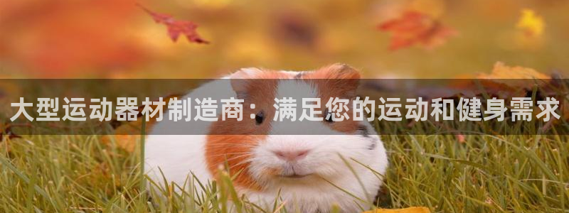意昂体育3招商电话地址：大型运动器材制造商：满足您的