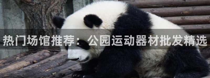 意昂体育3平台注册要钱吗