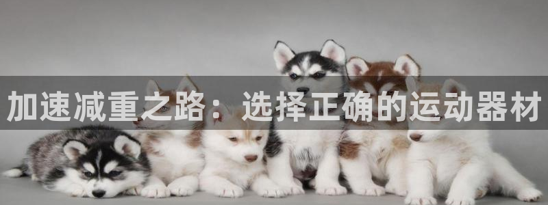 意昂3娱乐网站