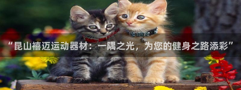意昂3娱乐首页官网下载
